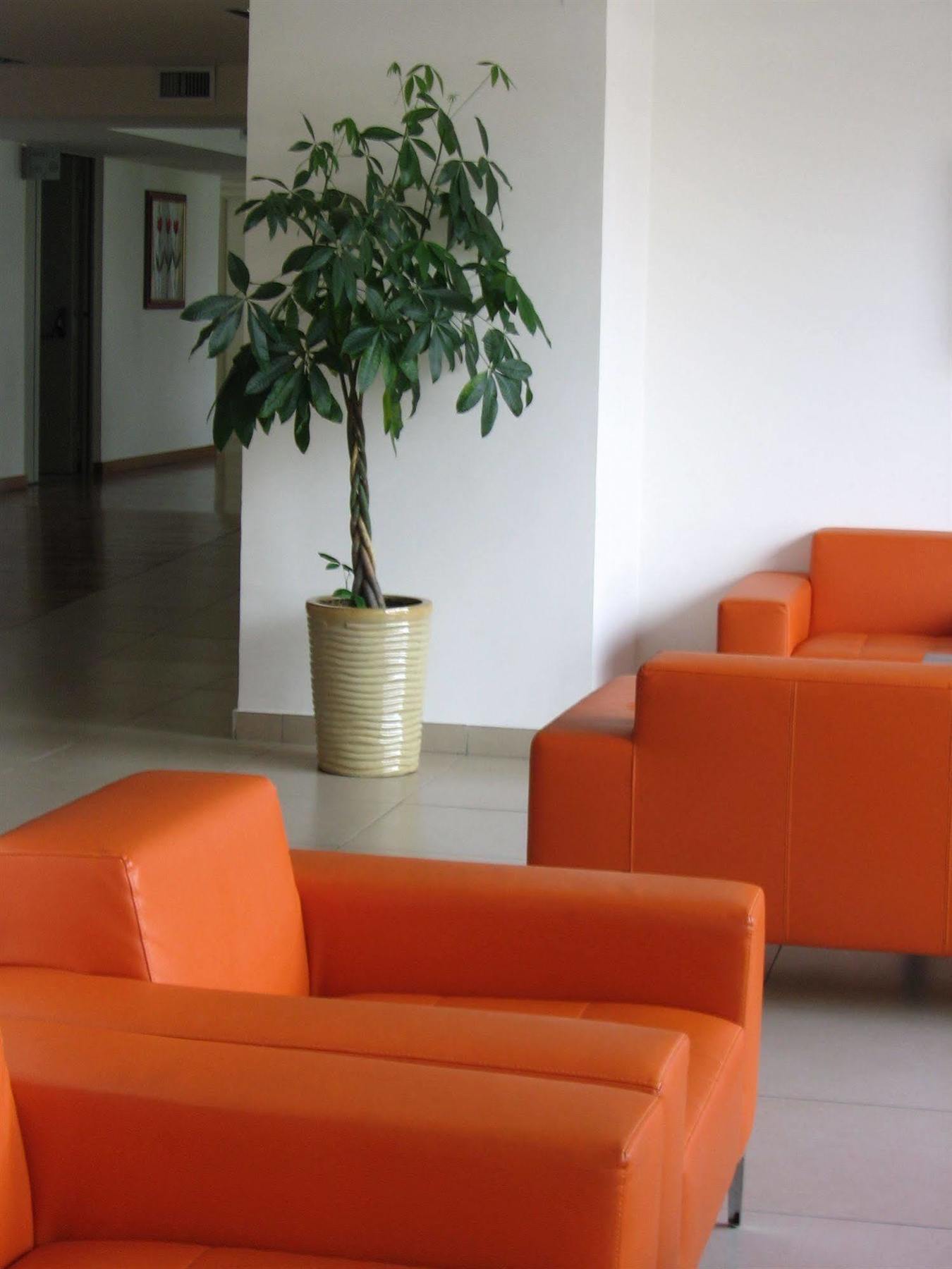 Garden Hotel Latina Exterior foto
