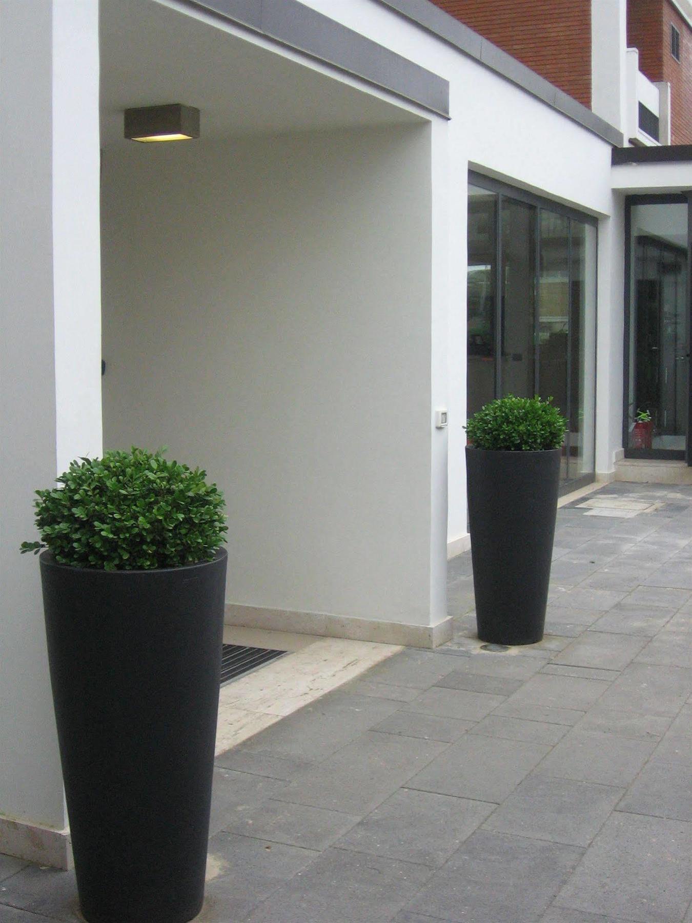 Garden Hotel Latina Exterior foto